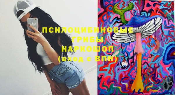 марки nbome Каменногорск