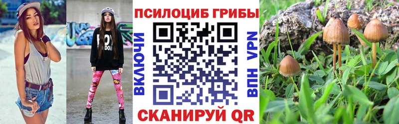 Купить  Кашин  Галлюциногенные грибы мухоморы 