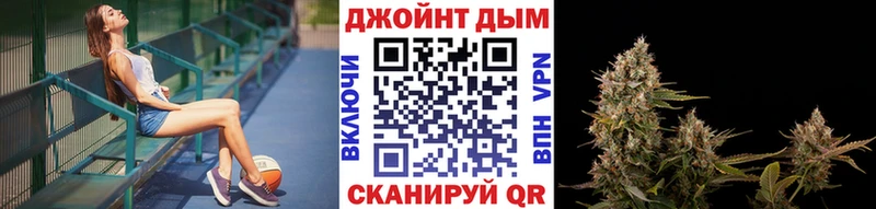 Купить  Кашин  Бошки Шишки VHQ 